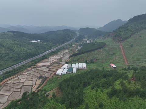 蓝山：小小黑皮鸡枞菌 开辟致富新路径