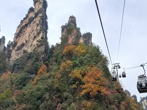 张家界 天子山 冬色 峰林