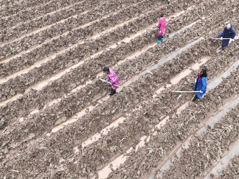 湖南郴州  苏仙区   五里牌  田间地头  人勤春早    备耕  