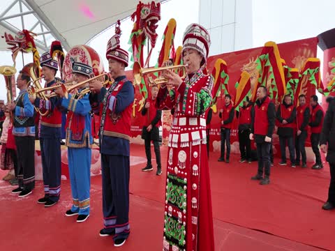 元宵 临武 舞龙  大会 表演 春节 习俗