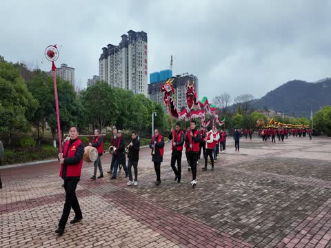 元宵 临武 舞龙  大会 表演 春节 习俗