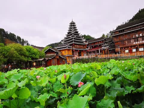 荷花 侗寨 景区 鼓楼 皇都