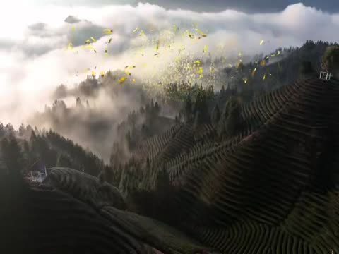 乡村旅游