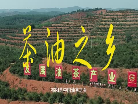 祁阳  油茶   油茶博物馆   加工