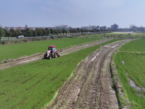 种粮囗大户口忙囗春耕