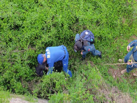 老人 失踪 搜救  山野