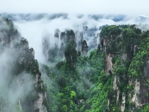 张家界 国家森林公园  自然风光